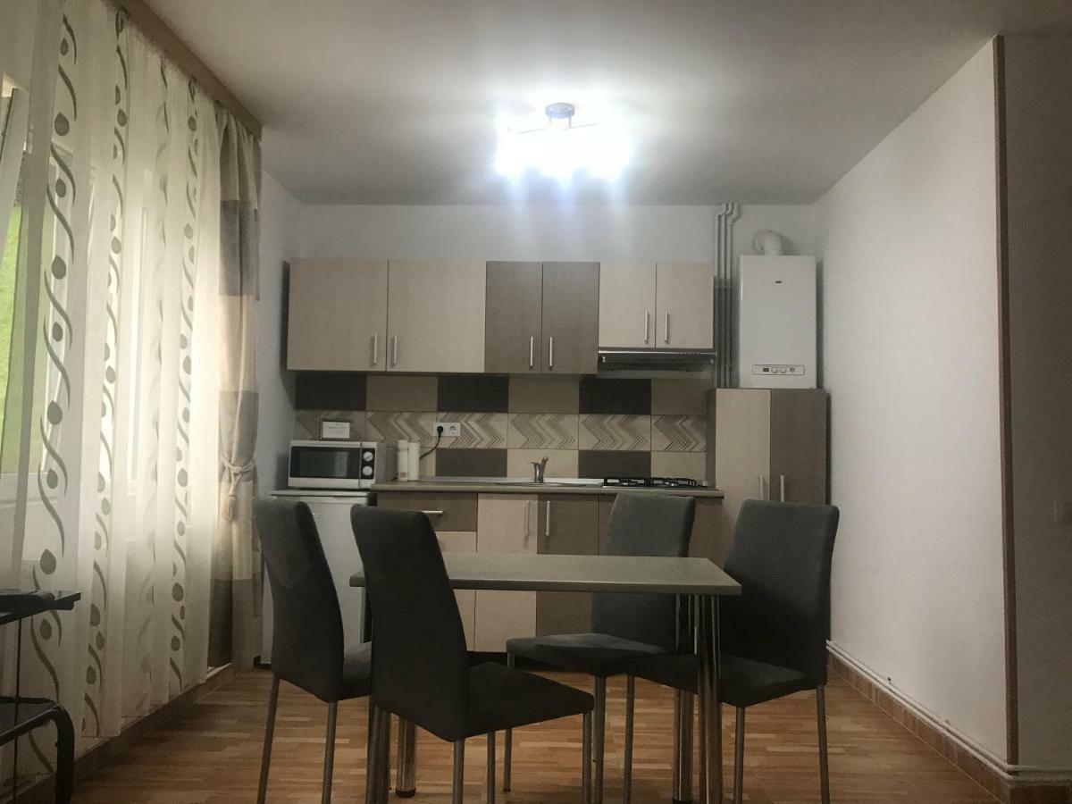 Apartament Garsoniera Family Buşteni Zewnętrze zdjęcie