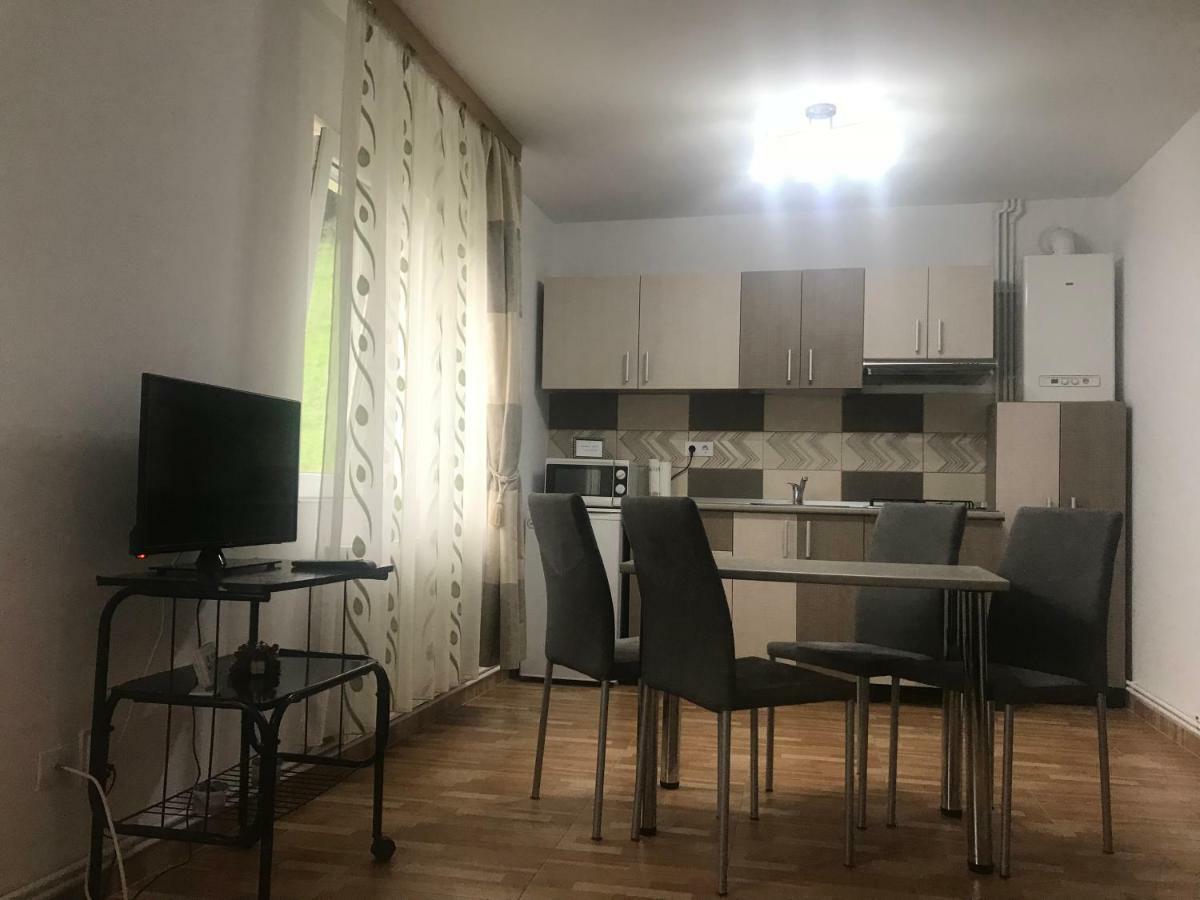 Apartament Garsoniera Family Buşteni Zewnętrze zdjęcie