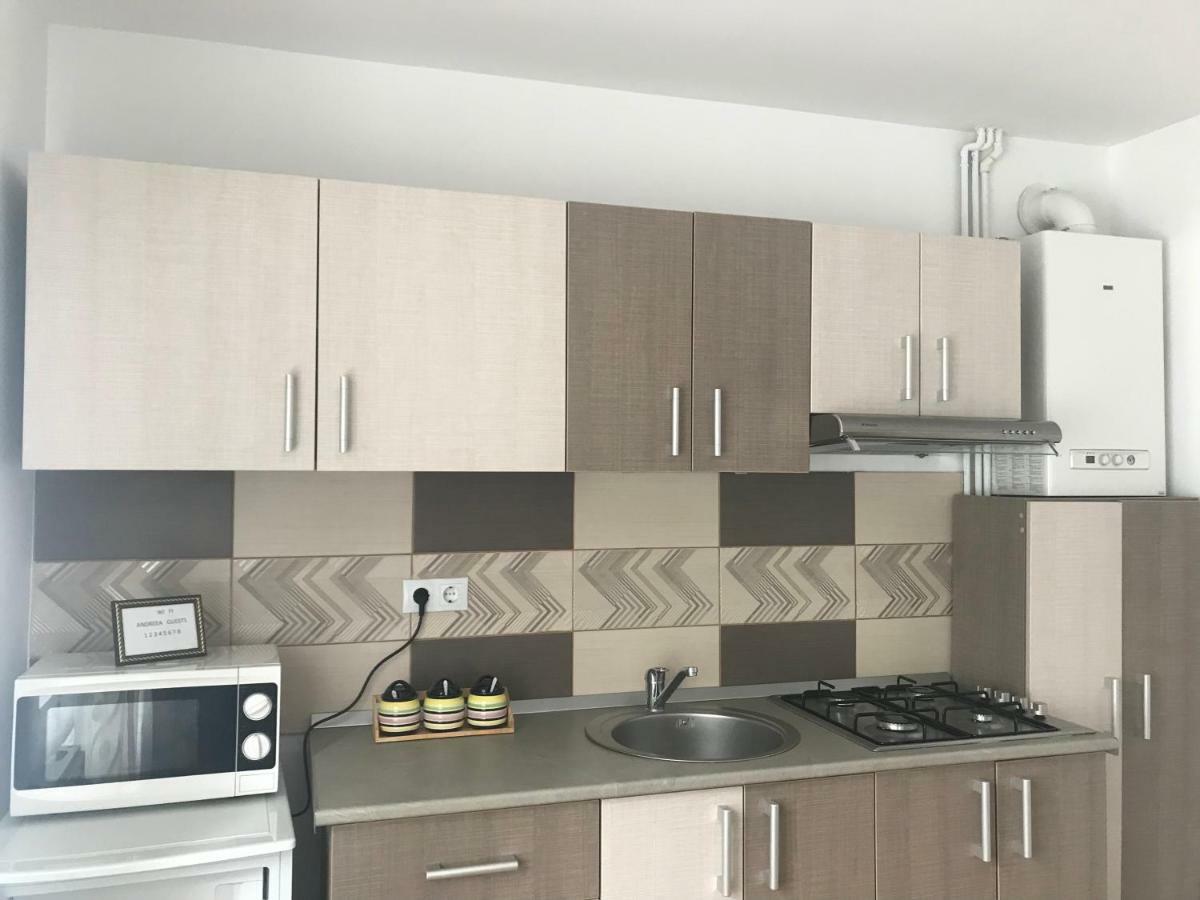 Apartament Garsoniera Family Buşteni Zewnętrze zdjęcie